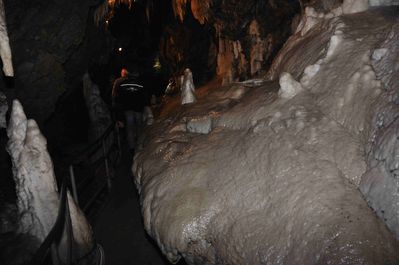 Premi per vedere l'immagine alla massima grandezza